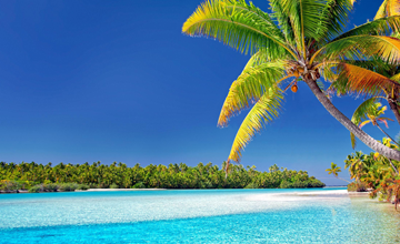 Palm trees, blue waters in the Caribbean